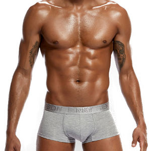 पुरुषों के लिए थोक सेक्सी आरामदायक पुरुषों के अंडरवियर फैशन नई प्रवृत्ति पुरुषों की कम वृद्धि कमर प्लस आकार अंडरवियर - Product Image 4