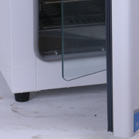Incubateur scientifique de laboratoire de thermostat électrique numérique DH-600 bon prix incubateur de CO2 d'acier inoxydable