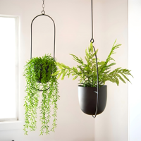 Porte-pot de fleurs intérieur et extérieur en métal noir moderne pour la décoration intérieure et le jardin
