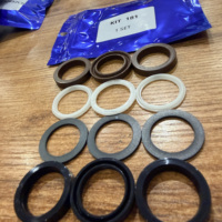 TRS- KIT181 W2141 Kit de réparation de joints de piston haute pression 24 mm, kit de joints d'étanchéité pour INTER PUMP