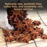 Anís estrellado crudo AD seleccionado a mano, en forma de cubo, grado rojo, origen Guangxi, especias sin ahumar, exportación a granel, mercado mayorista global