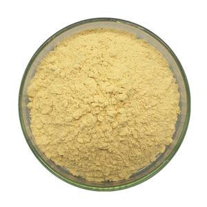 Suplemento Dietético, Extracto Herbal de <span class=keywords><strong>Ginseng</strong></span> Panax en Polvo de Grado Alimenticio a Granel, 10% de Ginsenosido, Certificado por <span class=keywords><strong>HPLC</strong></span>, Empaquetado en Tambor - Product Image 1