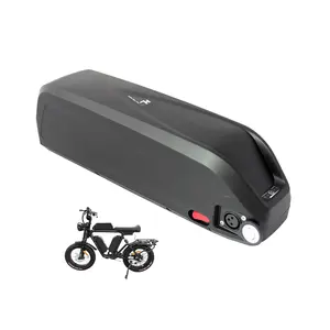 Custom Hailong Electric Scooter Lifepo4 36V 48V 10Ah 20Ah Electric Bicycle Lithium 18650 21700 Cell Rechargeable Ebike Battery