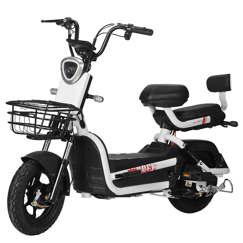 electric bicycle lebanon Paige Electric Bike Kits with 48V Battery