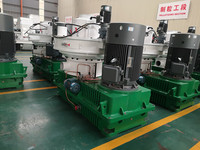Rotex Master 2-3tph 160kw Machine de presse à granulés, appareil en bois avec CE