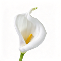 Fleur artificielle en PU Calla Lily, grande branche blanche, décoration florale pour mariage, maison, extérieur, qualité d'exportation en gros