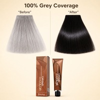 JiaYing Usine Prix de gros Entièrement Permanent Gris Blanc Couleur Cheveux Teinture noir
