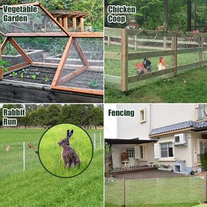 PVC GALVANIZED IRON <strong>WIRE</strong> <strong>MESH</strong> PET CAGE STOCK GALVANIZED <strong>CHICKEN</strong> COOP - Product Image 6