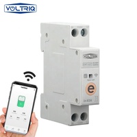 Meilleure vente Din Rail WIFI Disjoncteur Smart Switch Télécommande par Ewelink Smart Home 18mm 63A Sans fonction de mesure