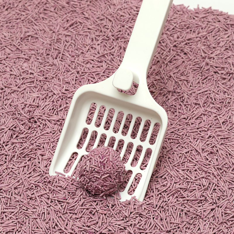 cat toy mouse Spot