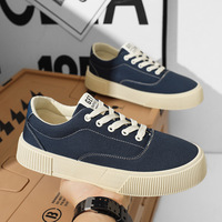 Nouvelles Chaussures en Toile Tendance et Polyvalentes, Basses à Lacets, Respirantes, Décontractées, avec Design Simple Effet Gâteau Éponge, pour Été, Automne, Hiver