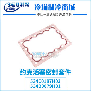 ชุดซีลลูกสูบ York S4 Oil Balance รุ่น 534C0187H03 534B0079H01 อะไหล่เครื่องทำความเย็น - Product Image 5