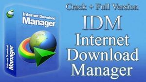 برنامج IDM (مدير التنزيل من الإنترنت) - ترخيص لمدة سنة واحدة متوفر - تسليم خلال 12 ساعة