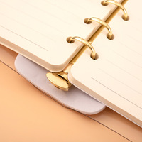 Carnet de voyage transparent en PVC et cuir format A6 pour filles et femmes, planificateur de budget et de trésorerie, avec 6 anneaux dorés, idéal comme cadeau