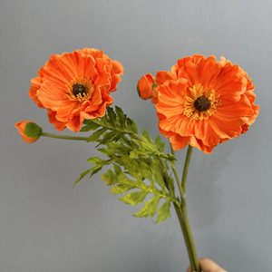 ดอกป๊อปปี้สี<span class=keywords><strong>แดง</strong></span> PU สัมผัสเหมือนจริง 2 หัว ขายส่ง สำหรับตกแต่งบ้าน ปีใหม่ วันวาเลนไทน์ วันแม่ วันคริสต์มาส งานแต่งงาน - Product Image 6