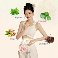 Patch Minceur Ventre Plat à Base de Plantes Han Dynasty pour Femmes – Brûle-Graisse et Réducteur de Tour de Taille pour le Sommeil