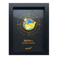 Cadre de certificat commémoratif personnalisé, plaque de récompense, vitrine, boîte à ombre pour événement, souvenir, médaille, badge, décoration murale photo