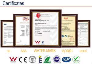 Máy Nước Nóng Bể Điện SST, Máy Đun Nước Điện Geyser 100l + Bằng Thép Không Gỉ - Product Image 6