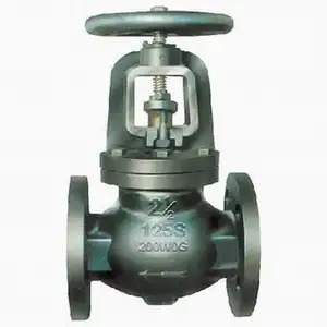 Class 125 Globe Valve, Flanged, 200 PSI