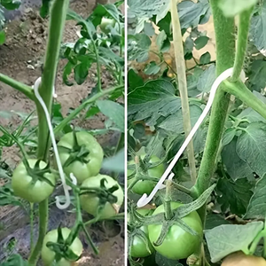 Ganchos de Soporte para Tomates en Forma de J Pequeños con Cubierta de Lámina de PC - Material PP, Estructura Estable, Fácil Montaje, Marca GYH - Product Image 2