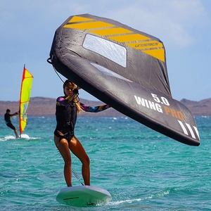 Vente en gros OEM planche de surf cerf-volant aile feuille <span class=keywords><strong>Wingsurf</strong></span> hydroptère sports nautiques haute qualité aile gonflable feuille - Product Image 6