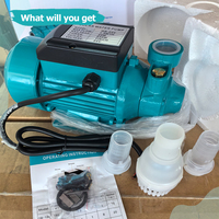 Mini pompe à eau solaire QB60 24V 230W à courant continu à balais pour l'irrigation et l'énergie solaire – Vente en gros