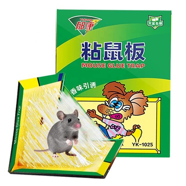 Humane Reusable Mouse Trap Strong Adhesive Sticky Board Non-Toxic Glue Trap for Rodent Control Solid Available for Bulk Order