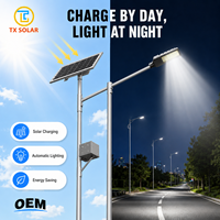 Meilleures ventes, technologie de pointe, lampadaires solaires LED étanches IP65 pour extérieur, panneau solaire 120W, lampadaire solaire LED