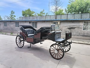 Vente directe usine – Prix usine abordable – Chariot de tourisme électrique sans chevaux 6 places - Product Image 2