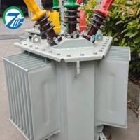 Transformateur triphasé immergé dans l'huile à sortie stable 10 kV 50-630 kVA pour l'alimentation des centres de données