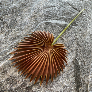 พัดลมเดี่ยวผลิตจาก Pu,พัดลมผลิตจากพลาสติกเทียมทันสมัย - Product Image 5