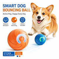 Pelota Inteligente para Perros con Movimiento Automático, Marca Propia, con Núcleo de PC Resistente y Capa Exterior de TPR para Entrenamiento Interactivo