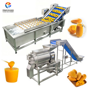 Ligne de production industrielle de nettoyage et de pulpage de mangues 5t/h, laveuse à bulles, pulpeur de fruits pour usine de transformation de jus - Product Image 1