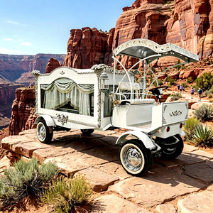 High Quality Retro Car Customized Carriage Manufacturer Electric/Silver Electric <b>Hearse</b> <b>for</b> <b>Sale</b> - Product Image 1