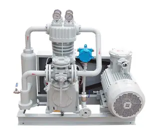 Olievrije Meertraps LPG Compressor Voor Vloeibaar Gas Compressor Met Directe Aansluiting