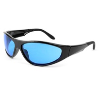 Lunettes de protection pour salle de culture hydroponique HPS LED, monture complète en PC, protection des yeux contre la lumière intense, lunettes de sécurité