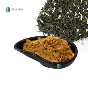 Poudre de thé au <span class=keywords><strong>jasmin</strong></span> de qualité alimentaire 99% Extrait de thé vert au <span class=keywords><strong>jasmin</strong></span> en poudre soluble dans l'eau - Product Image 1