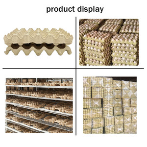 Plateau à œufs en pulpe moulée de haute qualité, personnalisable, biodégradable, en pulpe de papier/bagasse de canne à sucre, qualité alimentaire, compatible micro-ondes, pour œufs de ferme - Product Image 3