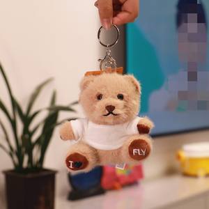 HECION Süper Yumuşak Ayı Peluş Oyuncak, Özel Logo Baskılı Tişörtlü, Çocuklar İçin Doğum Günü veya Düğün Peluş Anahtarlık Oyuncak - Product Image 6