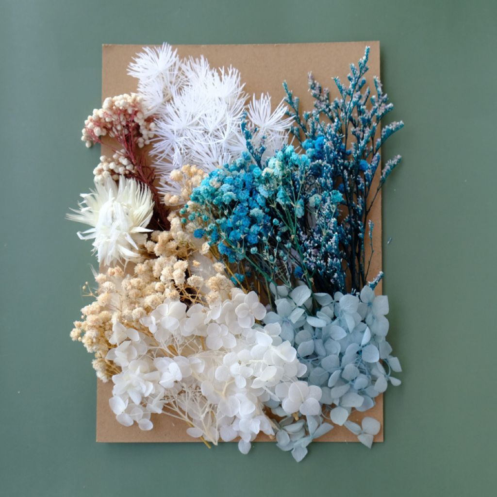 Fleur séchée#1