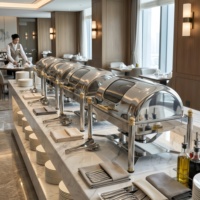 Plat à chafing professionnel chauffé à l'alcool en acier inoxydable 201, ensemble de buffet avec couvercle roulant et supports à combustible pour hôtel