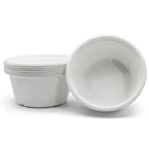 Hot Selling Disposable Biodegradable Sugarcane Bagasse Round Salad Bowl fast food large capacity lunch box with lid