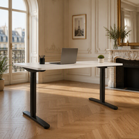 Bureau informatique électrique assis-debout à 2 moteurs, bureau moderne blanc modulaire réglable en hauteur avec pieds ovales en métal pour la maison et le bureau