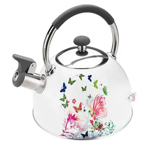 Neues Design Pfeifen Tee kessel Edelstahl Wasser Teekanne mit Farb malerei Küche Home Whistle Kettle