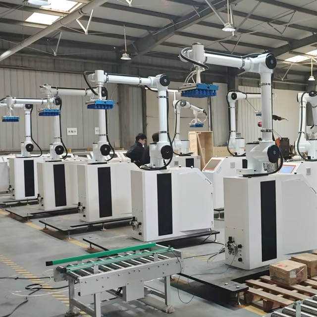JIAXIN High Efficiency 3kW Automatic Collaborative Palletizing Robot PLC Motor Bearing Farm Use Pick Place 20kg-50kg Packing
