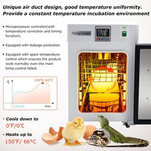 Incubadora de Laboratorio con Pantalla LCD y Función de Temporizador para Germinación de Células Microbianas, Plantas y Semillas - Product Image 3