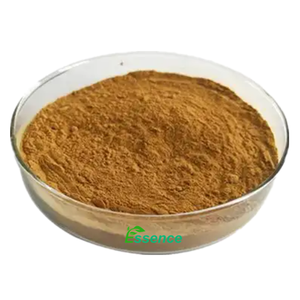 Yüksek kalite 4:1 10:1 Sassafras kök kabuğu ekstresi tozu - Product Image 2