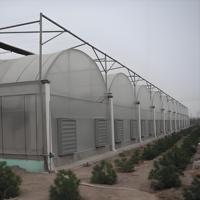 Serre agricole multi-chapelles de grande taille en polycarbonate de haute qualité avec structure en acier galvanisé à chaud et système hydroponique