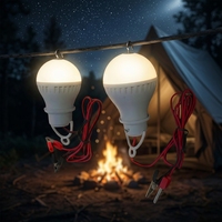 Lampe de camping LED à économie d'énergie en gros, 5W, 6500K, DC 12V, lampes LED pour la maison, ampoule LED avec câble