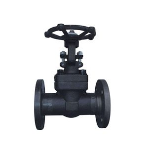 Api602 áp lực cao giả mạo thép F316 nace mr0175 tiêu chuẩn 800lbs 2inch ổ cắm Hàn <span class=keywords><strong>Swing</strong></span> kiểm tra van - Product Image 5